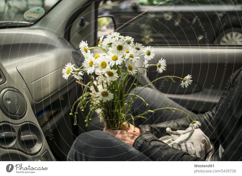 Woman sitting with flowers in car caucasian european caucasian ethnicity caucasian appearance Vehicle Interior nature Marguerite Leucanthemum Oxeye daisy