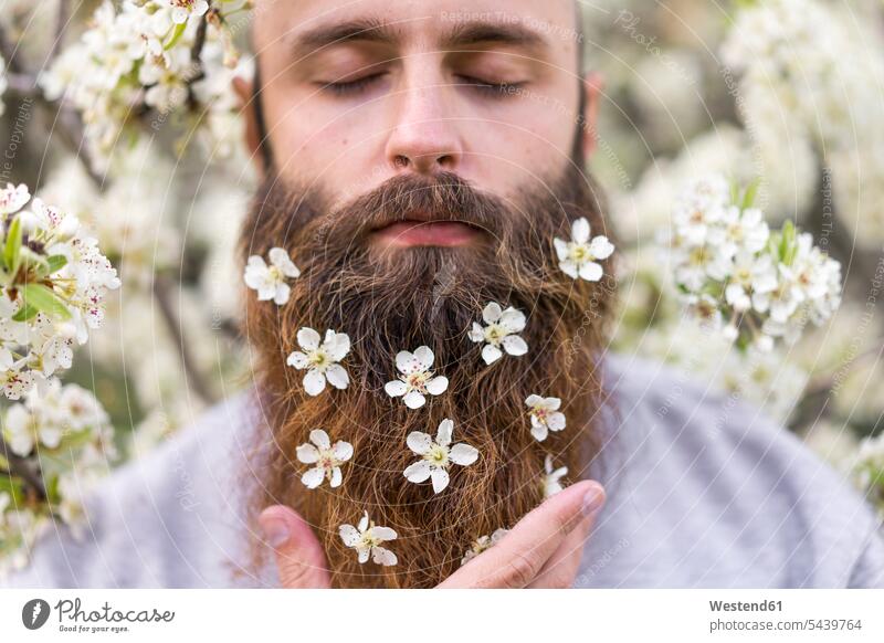 Portrait of hipster with white tree blossoms in his beard portrait portraits flowers Blossoms Blooms blossoming flowering Hipster Hipsters man men males