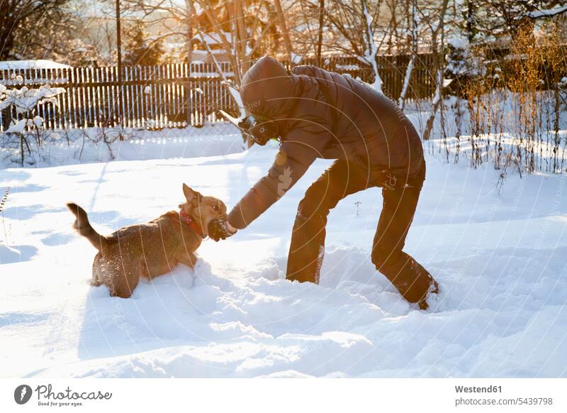 Man photographing and playing with dog in snow caucasian european caucasian ethnicity caucasian appearance single animal 1 one one animal outdoors location shot
