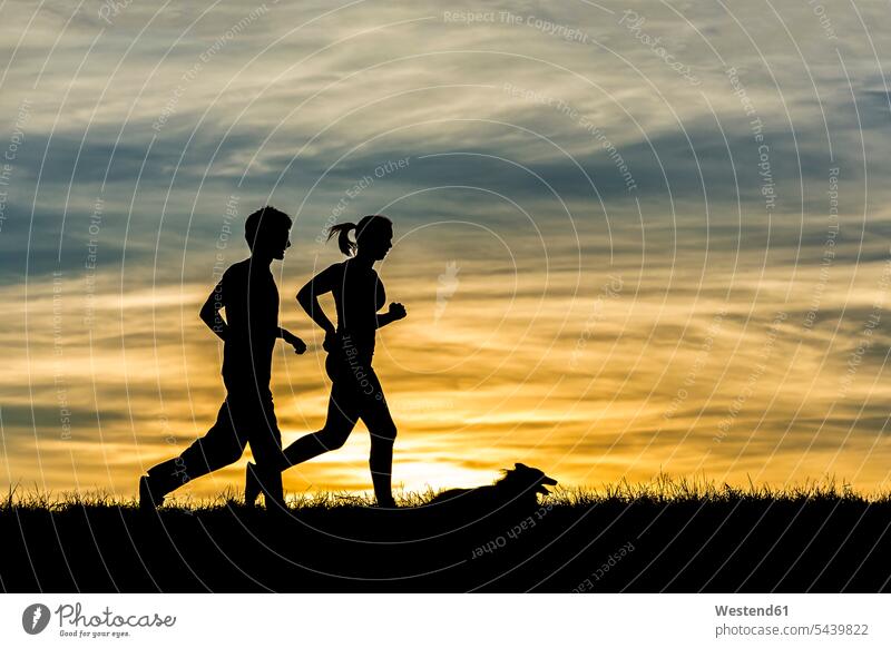 Germany, Couple jogging with dog at sunset couple twosome twosomes partnership couples Backlit back lighting backlight male males men leisure free time