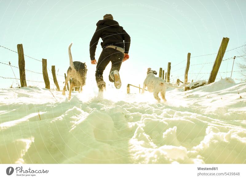 Germany, Bergisches Land, man running with dogs in winter landscape caucasian european caucasian ethnicity caucasian appearance motion moving Move hound hounds