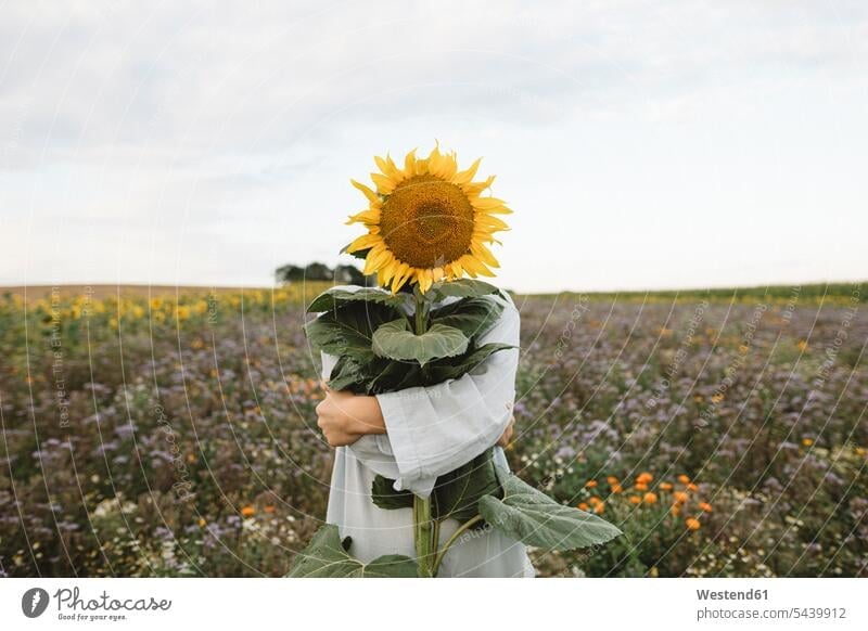 Sunflower covering face of a boy in a field shirts hold hide huge country countryside free time leisure time Ideas creative Getaway Tour Tours Trip Trips
