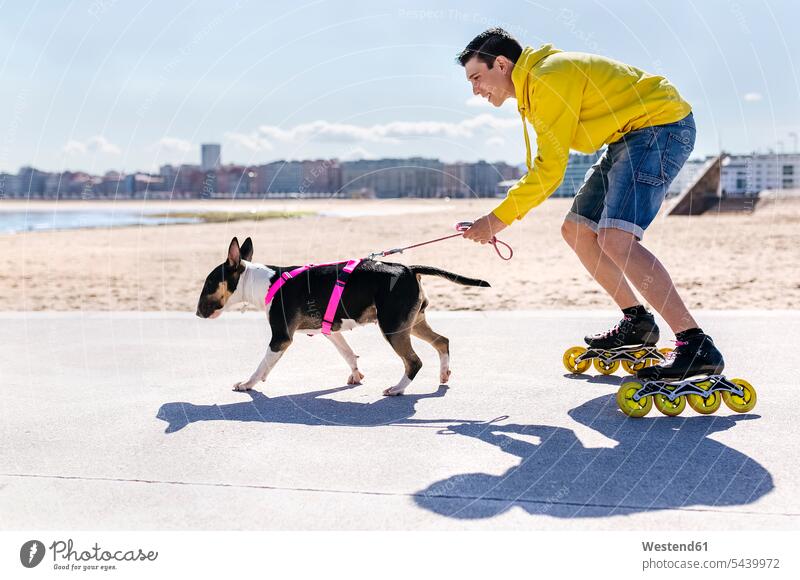 Inline-skater with his bull terrier inline skates inliners dog dogs Canine man men males Rollerblades inline skating rollerskating roller skating rollerblading