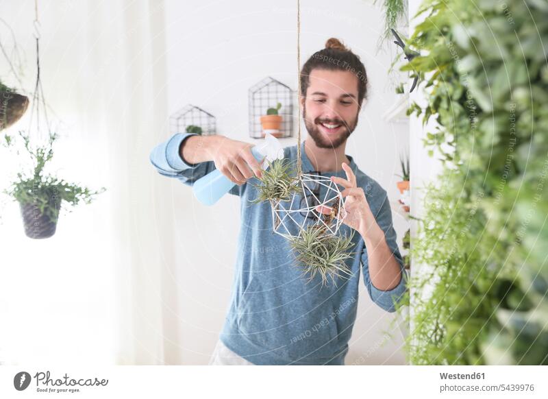 Young man watering air plants in geometric pendant smiling smile Plant Plants tillandsia men males Adults grown-ups grownups adult people persons human being