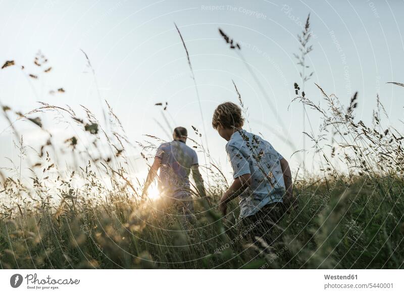 Boy and his father walking in nature at sunset going natural world boy boys males sunsets sundown pa fathers daddy dads papa child children kid kids people