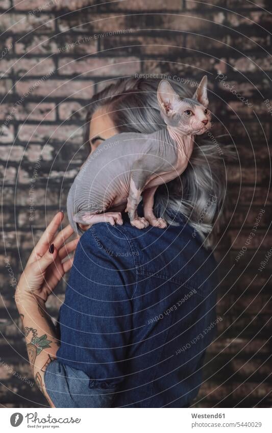 Young woman carrying Sphynx cat on shoulder cats on shoulders animal-loving fond of animals love of animals pets creatures pedigree cat pedigree cats pet friend
