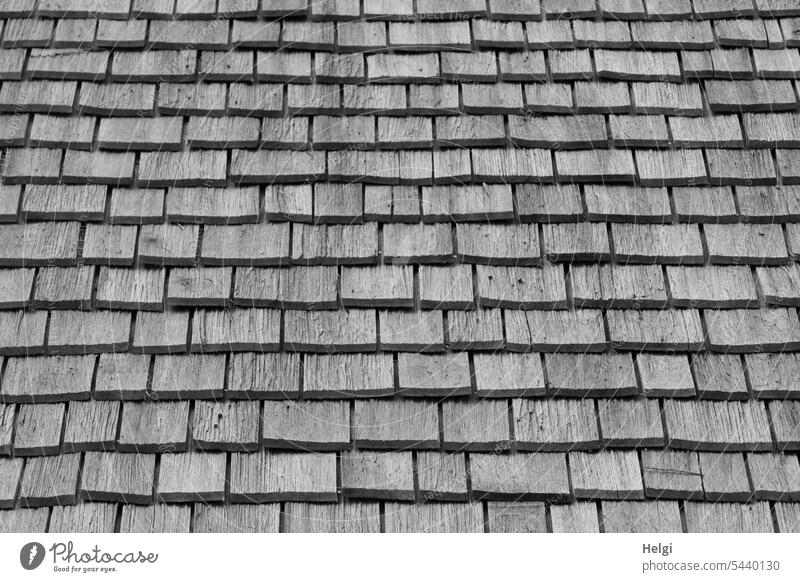 Wood shingles Roof wooden shingles Wooden roof Old Historic Building detailed view Architecture Exterior shot Deserted Manmade structures Pattern