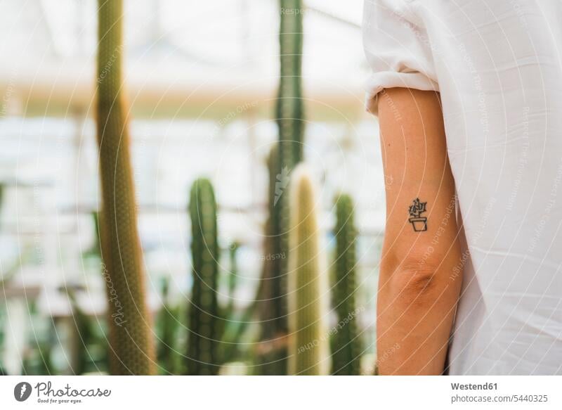 Cactus tattoo on young woman's arm tattoos arms Cactaceae Cacti Cactuses young women tattooed body art Body Adornment Skin Art people persons human being humans
