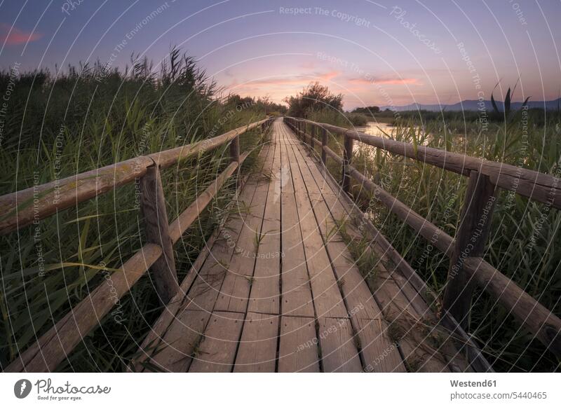 Spain, Alicante, empty boardwalk in a marsh at sunset beauty of nature beauty in nature Travel landscape landscapes scenery terrain Alacant evening mood