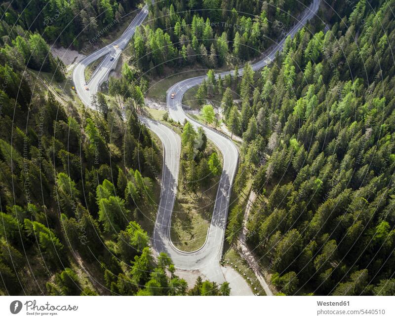 Italy, Alto Adige, Dolomites, Mountain street near Malga Ra Stua, aerial view beauty of nature beauty in nature forest woods forests Cortina d'Ampezzo