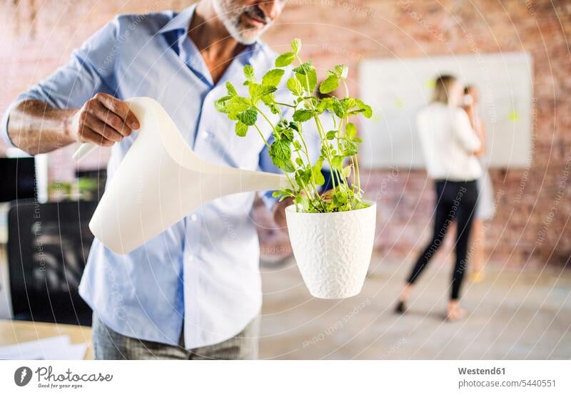 Businessman watering plant in office with colleagues in background Plant Plants offices office room office rooms Business man Businessmen Business men workplace