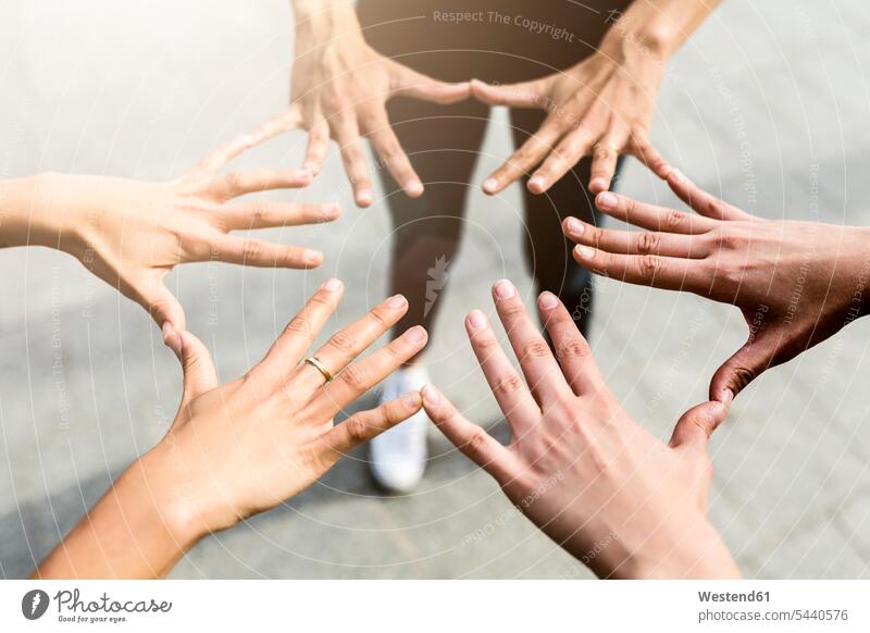 Hands of three women hand human hand hands human hands female friends community Companionship people persons human being humans human beings mate friendship