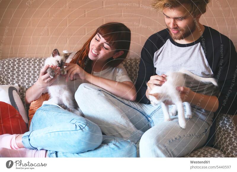 Young couple with kittens on the couch at home cat cats twosomes partnership couples pets animal creatures animals people persons human being humans