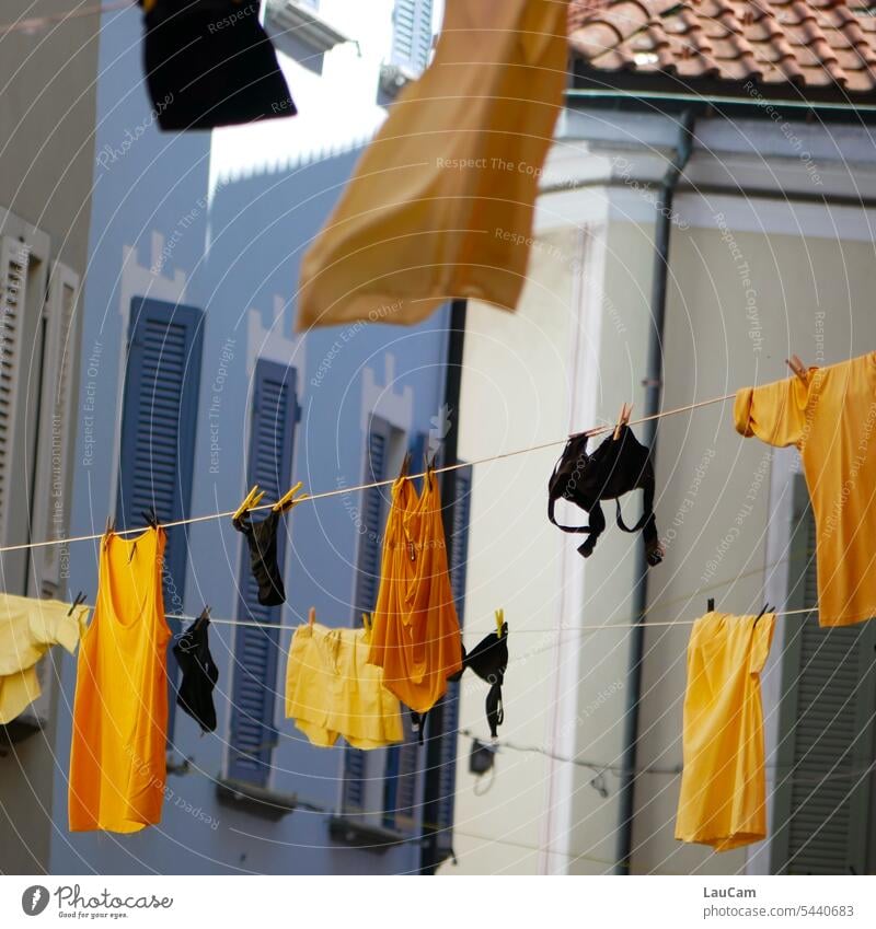 Fabric softener | black and yellow laundry wafting fragrant in alleyway Laundry Laundered Dry Ventilate Bra Undershirt T-shirt brassiere Underwear Hang