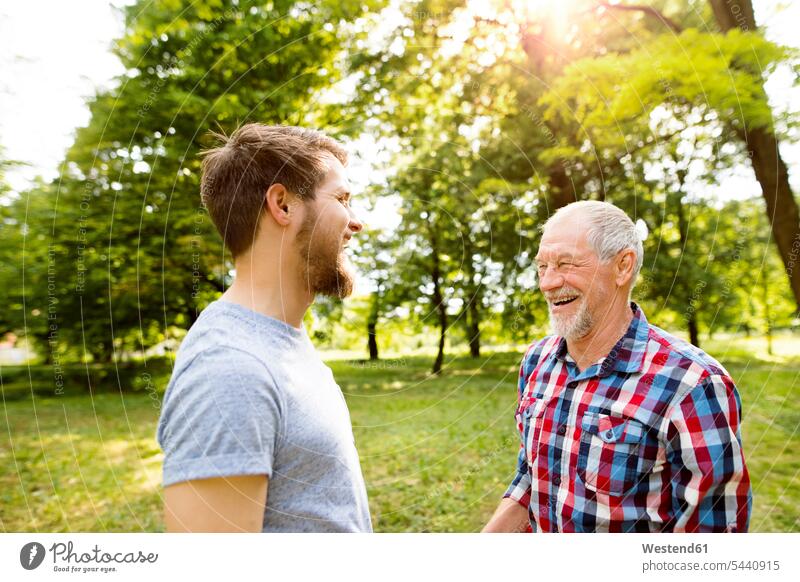 Senior father and his adult son laughing together in a park fathers daddy dads papa parents family families people persons human being humans human beings parks