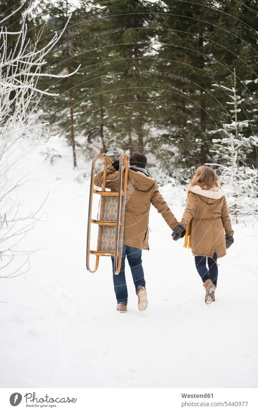 Back view of young couple with sledge in winter forest sledges twosomes partnership couples hibernal people persons human being humans human beings snow walking