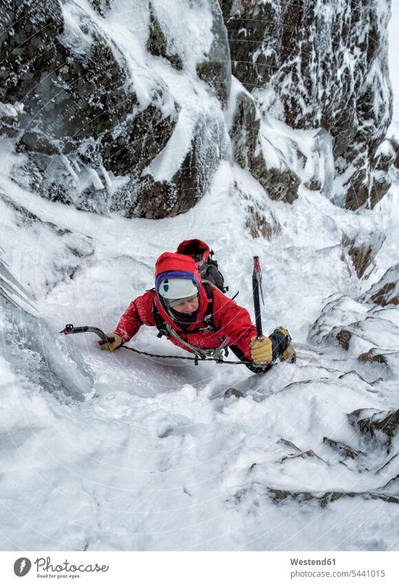 Scotland, Anoach Mor, Man ice climbing in winter caucasian caucasian ethnicity caucasian appearance european icy climber rock climber hibernal one person 1