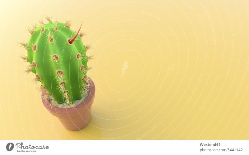 Cactus with a red thorn Idea Ideas Aggression aggressive defence defend defending Growth growing sting barb stings barbs barbed Danger dangerous Evil bad
