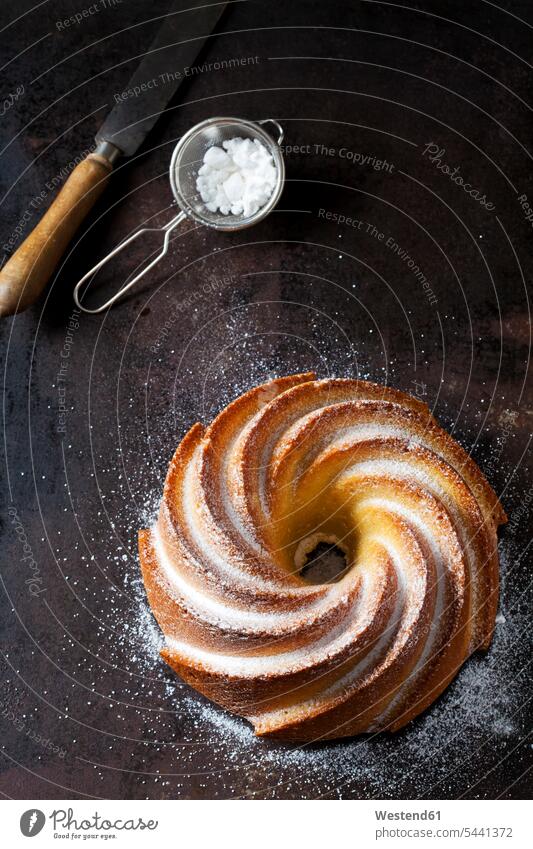 Home-baked Gugelhupf sprinkled with icing sugar nobody sweet Sugary sweets Ring Cake Bundt Cake Ring Cakes Bundt Cakes Baked Food prepared still life