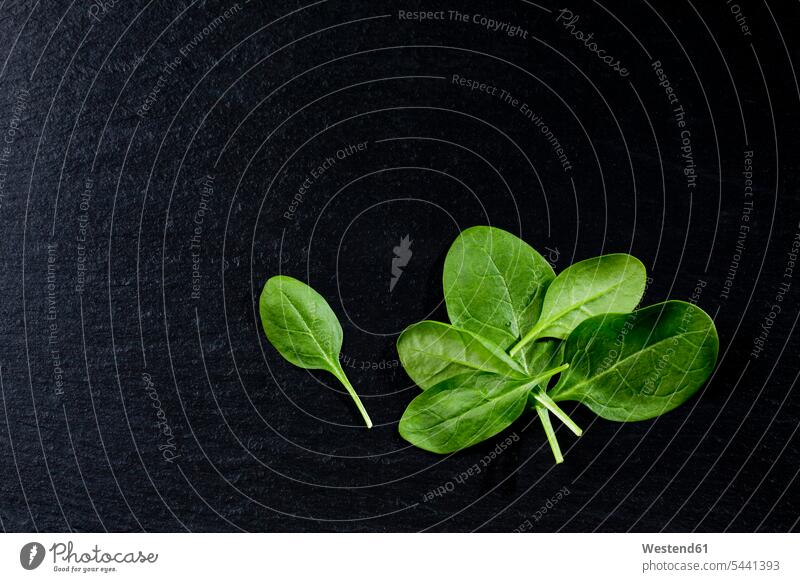 Leaf spinach on slate green schist slates copy space healthy eating nutrition black background black backgrounds arrangement grouping medium group of objects