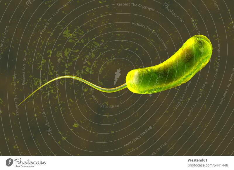 3D rendered Illustration of a a convergence to a Vibrio Cholerae Bacterium causing cholera research shape shapes Macro Macro photography three dimensional