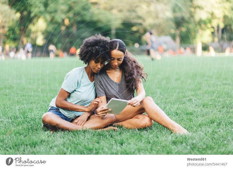 Two best friends sitting on a meadow of a park using mini tablet female friends meadows digitizer Tablet Computer Tablet PC Tablet Computers iPad Digital Tablet