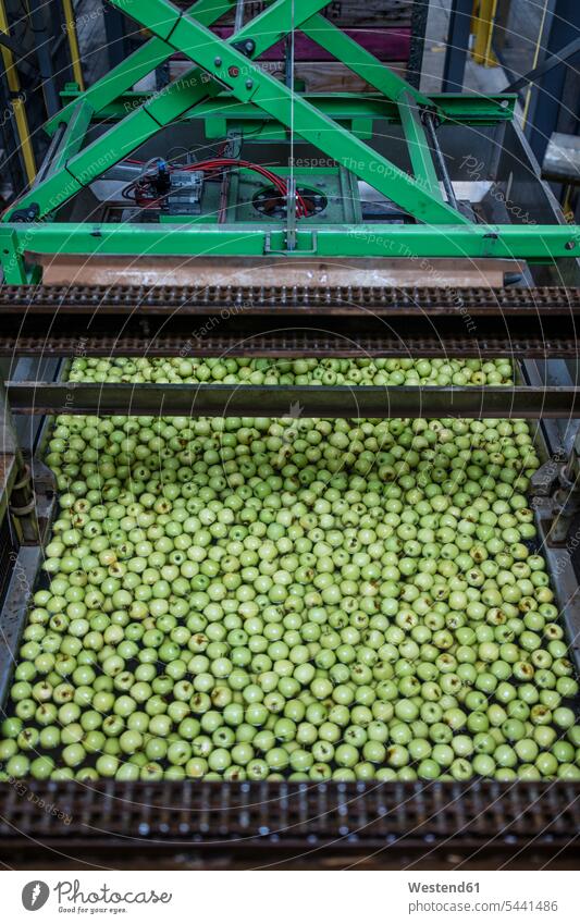 Green apples in factory being washed food and drink Nutrition Alimentation Food and Drinks industry industrial automation food industry abundance Plentiful