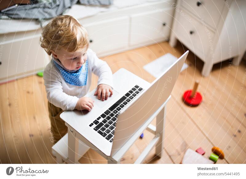 Little boy at home playing with laptop Laptop Computers laptops notebook computer computers caucasian caucasian ethnicity caucasian appearance european interest