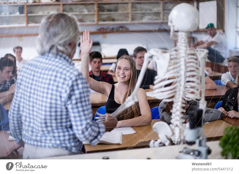 Teacher with anatomy model and students in class teacher instructor teachers school schools learning pupils pedagogue pedagogues education high school
