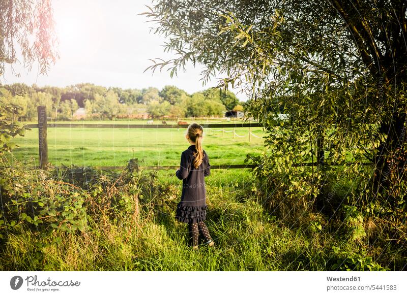 Rear view of girl standing at a field Field Fields farmland females girls nature natural world child children kid kids people persons human being humans