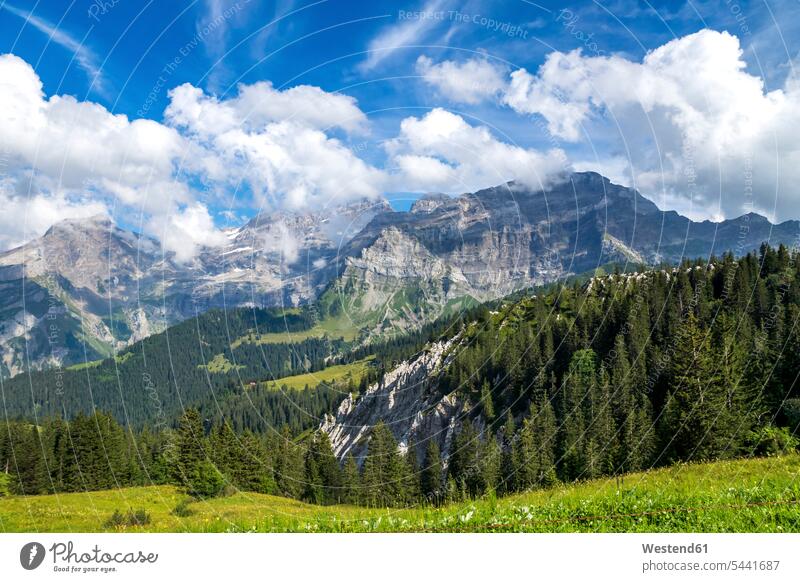Switzerland, Fribourg, mountain range near Montbovon cloud clouds vastness wide Broad Far copy space wideness Tree Trees Travel destination Destination