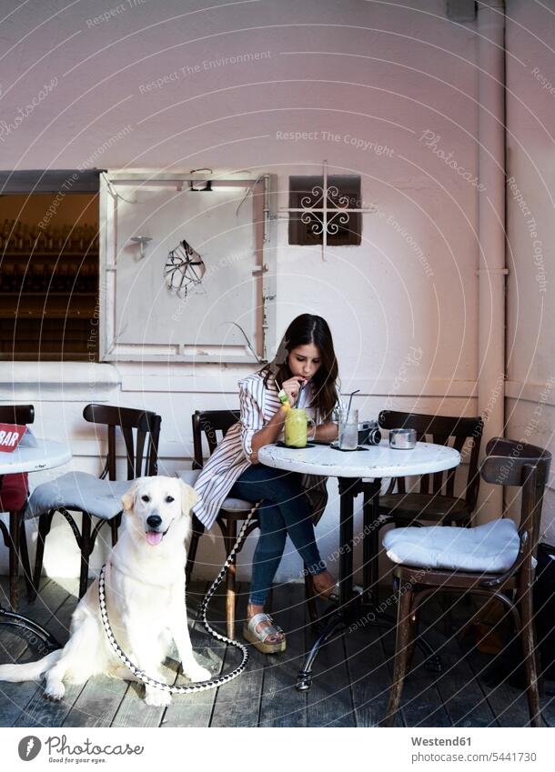 Young woman sitting in a coffee shop with her dog drinking a smoothie dogs Canine cafe females women Seated Smoothies pets animal creatures animals Adults