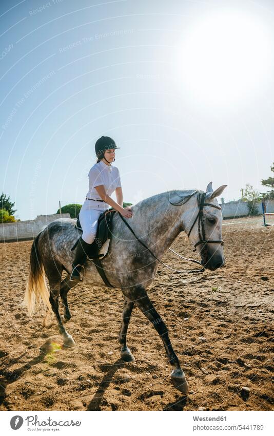 Young woman riding on horse equus caballus horses rider riders female rider horsewoman female rides horsewomen horse riding equistry equitation Equestrian