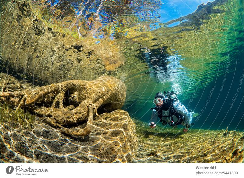 Austria, Tyrol, Lake Fernsteinsee, tree under water with a diver caucasian caucasian ethnicity caucasian appearance european scuba gear nature natural world