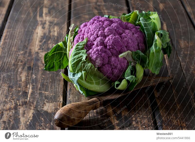 Purple cauliflower and old knife on wood food and drink Nutrition Alimentation Food and Drinks Cauliflower Cauliflowers unusual extraordinary unusually