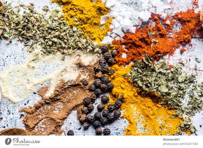 Spices, curry, chilli, cinnamon, curcuma, garlic, parsley, oregano, salt and pepper on wood Choice choose choosing choices difference different still life