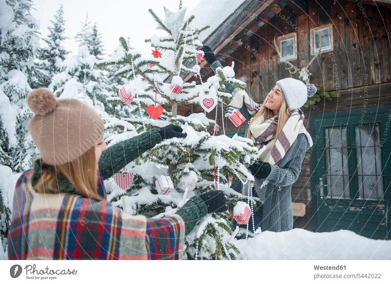 Austria, Altenmarkt-Zauchensee, two young women decorating Christmas tree at wooden house winter hibernal frame house wooden houses framehouses X-Mas yule Xmas