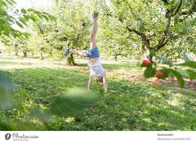 Girl doing a cartwheel on meadow girl females girls happiness happy garden gardens domestic garden meadows playing child children kid kids people persons