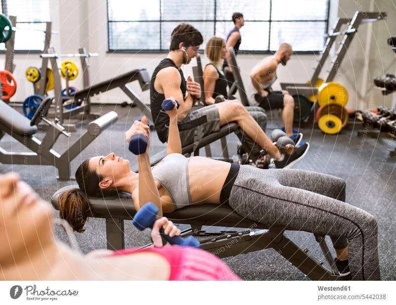 Young woman exercising with dumbbells in gym weight weights dumb-bells Fitness fit exercise training practising young women young woman young man young men