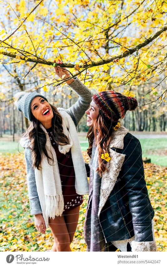 Two pretty women having fun in an autumnal forest female friends woman females beautiful Fun funny woods forests fall mate friendship Adults grown-ups grownups