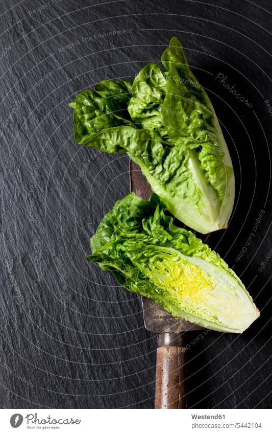 Whole and sliced romaine lettuce and an old knife on slate food and drink Nutrition Alimentation Food and Drinks Leaf Leaves Salad whole knives curled lettuce