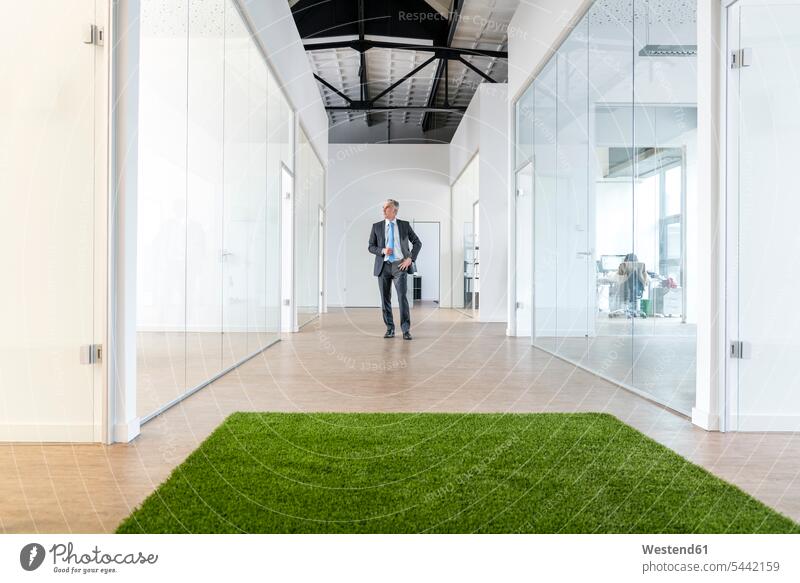 Mature businessman standing in office space with green grass carpet environment ecology environmental sharing share Coworking space shared workspace