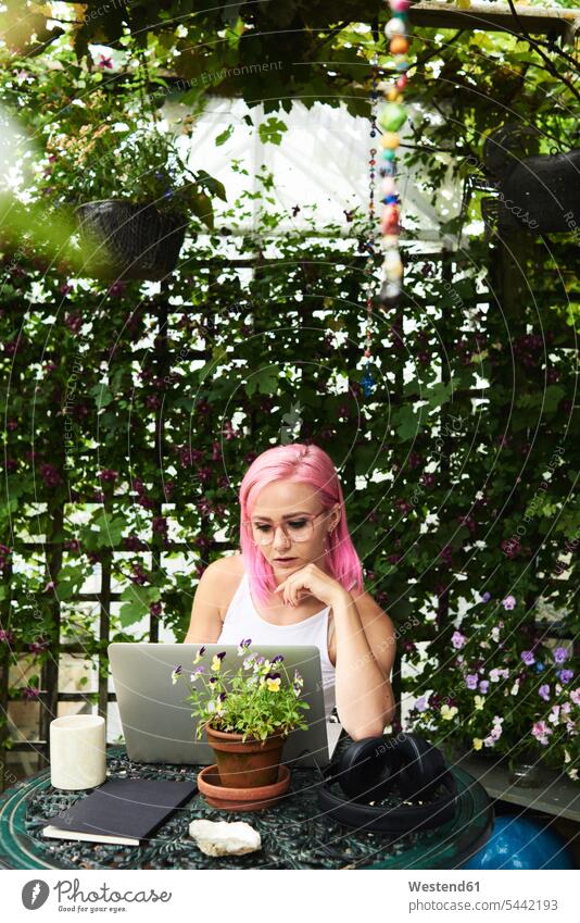 Young woman with pink hair using laptop in cozy garden females women gardens domestic garden Laptop Computers laptops notebook Adults grown-ups grownups adult
