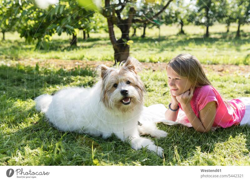 Girl lying with dog on meadow laying down lie lying down happiness happy dogs Canine smiling smile garden gardens domestic garden girl females girls meadows