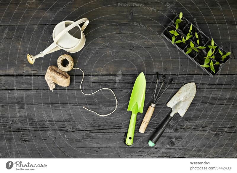 Gardening tools and seedlings on dark wood gardening yardwork yard work hand trowel utensils accessories string strings rake rakes wooden nursery pot