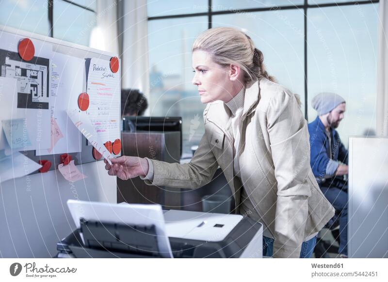 Woman looking at notice board in office woman females women working At Work offices office room office rooms Adults grown-ups grownups adult people persons