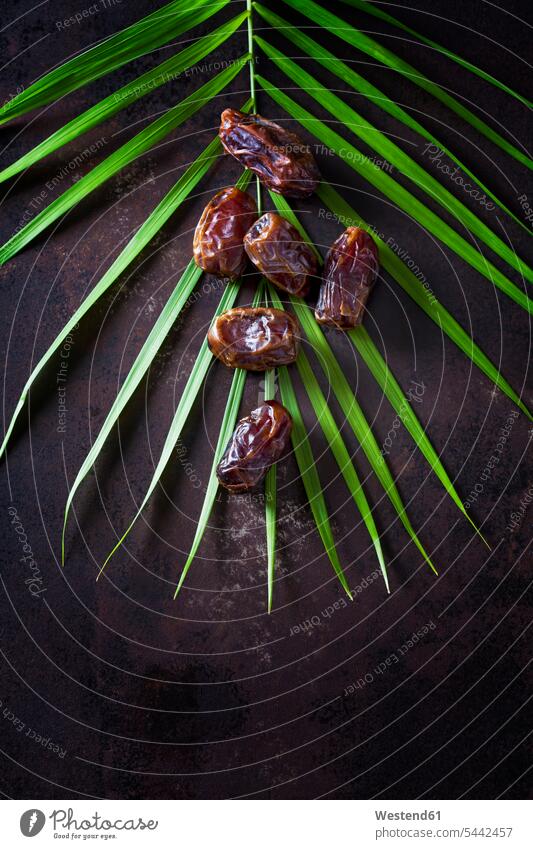 Dates on palm leaf food and drink Nutrition Alimentation Food and Drinks copy space Brown Background brown shadow shadows Shades gleaming dark tropical