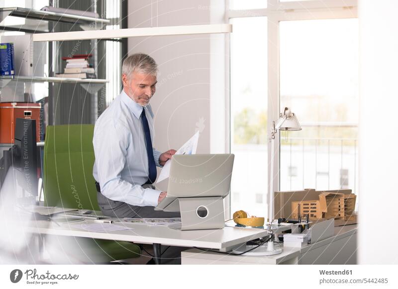 Businessman working in office, using laptop offices office room office rooms Laptop Computers laptops notebook sitting Seated planning office At Work Planning