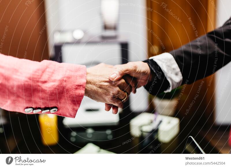 Close-up of two businesswomen shaking hands in office Handclasp Handclap human hand human hands offices office room office rooms businesswoman business woman