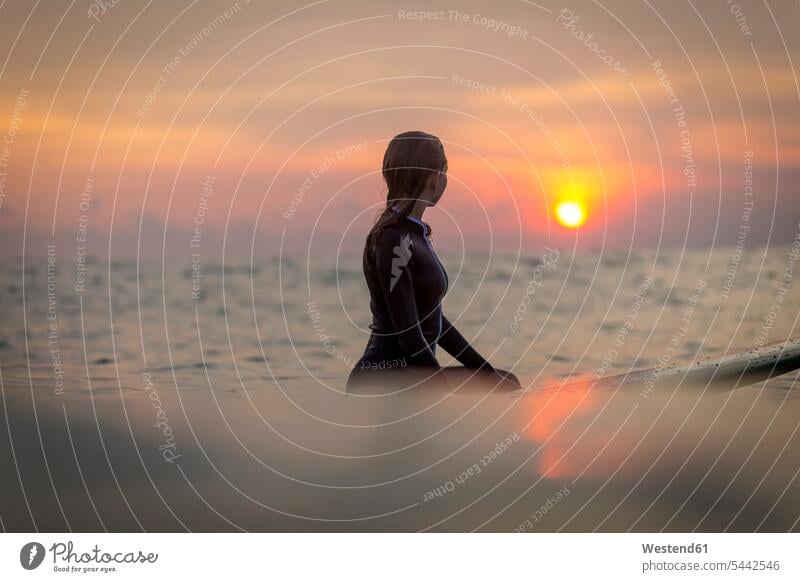 Indonesia, Bali, female surfer in the ocean at sunset woman females women surfing surf ride surf riding Surfboarding Sea Adults grown-ups grownups adult people
